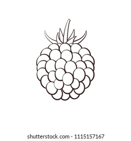 Outlinel berry raspberry icon on white background. Design for a label, banner, poster. Vector illustration.