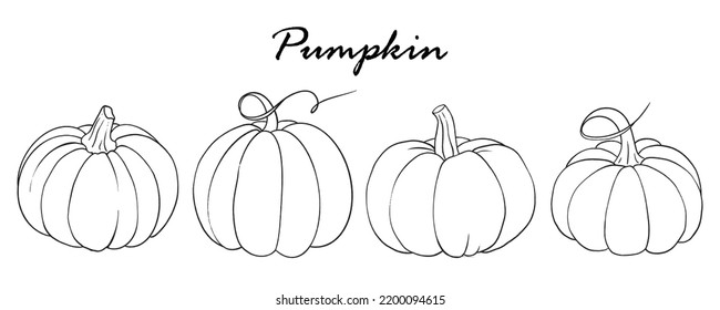 Outlines autumn set of pumpkins. Hand drawn black and white line art doodle. Vector illustration, hand drawing. Perfect graphic for Thanksgiving day, Halloween, greeting cards, posters, and more.