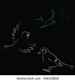 outlines of birds on a black background