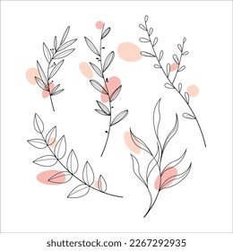 Líneas de ramas con elementos abstractos delicados de color. Juego de ramas lineales.  Ilustración vectorial.