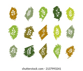 Outlines of leaves, twigs, herbs on backgrounds made of marker strokes. Organic, natural, eco symbols. Sketchy decorative design element collection