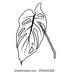 Outlines of monstera leaves. Vector isolated clipart. Minimal monochrome hand-drawn botanical design.