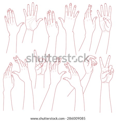 Outlines Set Woman Hands On White 스톡 벡터(사용료 없음) 286009085 - Shutterstock