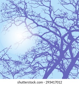 The outlines of a tree with branches on a light blue background