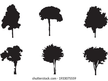 Outlines of trees for the website, for printing. Vector graphics.