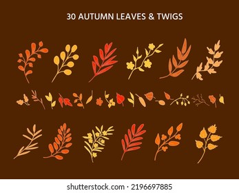 Outlines of various leaves, twigs, herbs, plants in autumn shades of red and yellow. Organic, natural, eco symbols. Sketchy design element collection for prints