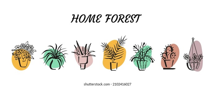 Esbozos de varias macetas de plantas de habitación en los fondos de manchas de color. Plantas decorativas para la casa. Colección de elementos de diseño de doodle