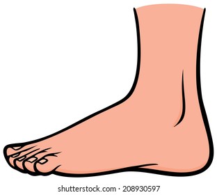 Images Of Cartoon Foot Clip Art