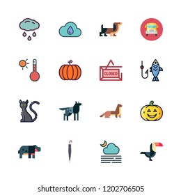 Outside Icon Set. Vector Set About School Bus, Dog, Temperature And Rain Icons Set.