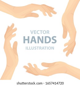 Ilustración vectorial de las palmas de mano estiradas. Parte del conjunto.