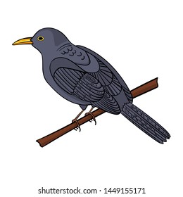  Ouzel. Vector image on a white background isolated. Use for magazines, children's books, colorings, prints on clothes.