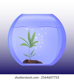 Oval aquarium with water long green plant