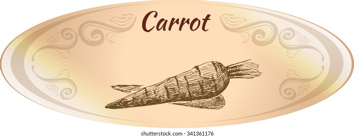 Oval beige label. Hand Drawn carrot. Monochrome sketch.