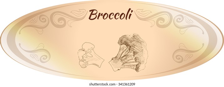 Oval beige label. Hand Drawn broccoli. Monochrome sketch. Vector illustration.