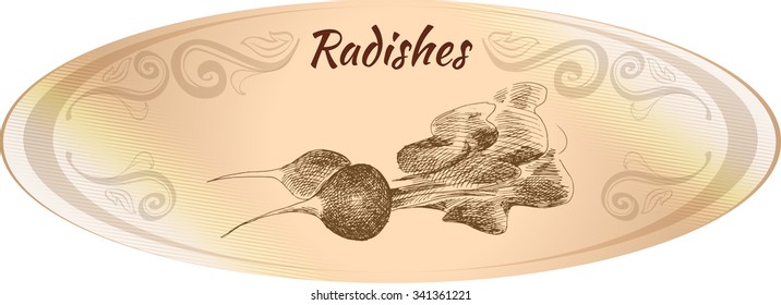 Oval beige label. Hand Drawn radishes. Monochrome sketch.