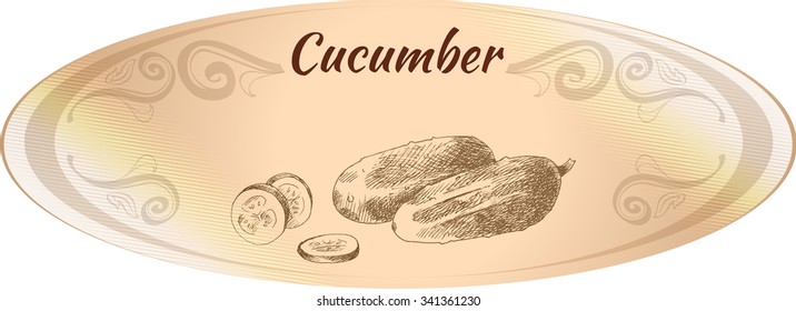 Oval beige label. Hand Drawn cucumber. Monochrome sketch. Vector illustration.