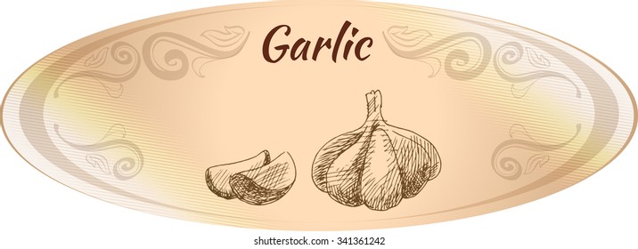 Oval beige label. Hand Drawn garlic. Monochrome sketch.