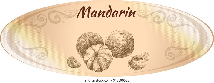 Oval beige label. Hand Drawn mandarin. Monochrome sketch. Vector illustration.