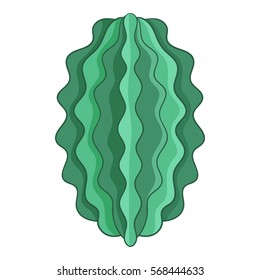 Oval cactus icon. Cartoon illustration of oval cactus vector icon for web
