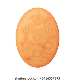 Oval Crunchy Cracker Cookie as Dry Baked Flour Biscuit Vector Illustration