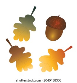 Hojas de bellota y roble de arte plano oval en colores cálidos y ricos de otoño dorados y marrones oscuros aislados en un fondo blanco