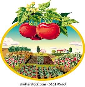 oval frame with agricultural landscape. First of tomatoes plan