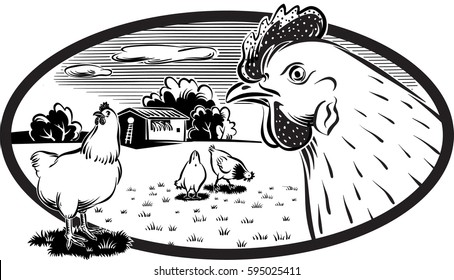 oval frame with chickens that roam free in a meadow.