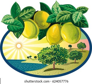 oval frame with citrus grove near the sea and branch of oranges.