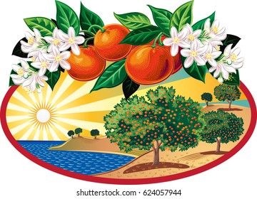 oval frame with citrus grove near the sea and branch of oranges.
