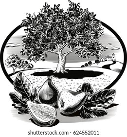 oval frame with figs in orchard landscape.