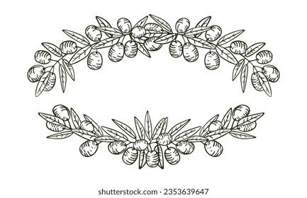 Oval frame made of olive branches and fruits. Isolated vector on white background. Hand drawing.