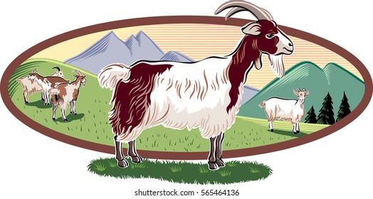 oval frame with mountain landscape and goats grazing.