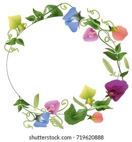 oval frame ornament flowers pea