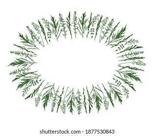 Oval frame with silhouettes of wild herbs on white - background with green grass for natural spring and summer design