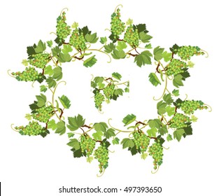 Oval Grapes frame and repeated element for wine labels or menu design. Isolated on white background