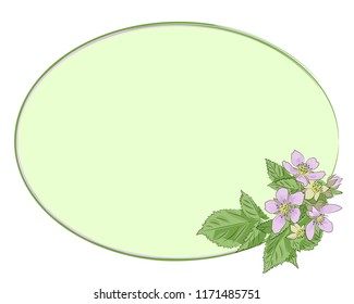oval green frame with purple flowers