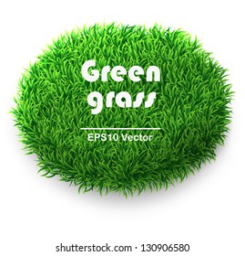 Oval green grass banner. Vector background