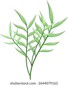 Canas de folhas ovais, bonitas e naturais