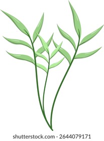 Canas de folhas ovais, bonitas e naturais