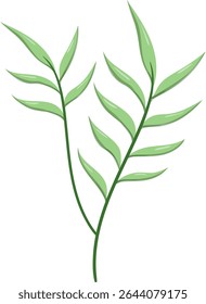 Canas de folhas ovais, bonitas e naturais