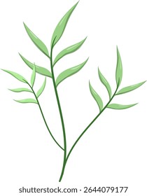 Canas de folhas ovais, bonitas e naturais