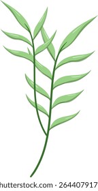 Canas de folhas ovais, bonitas e naturais