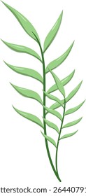 Canas de folhas ovais, bonitas e naturais