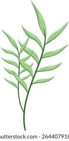 Canas de folhas ovais, bonitas e naturais