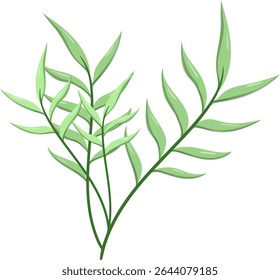 Canas de folhas ovais, bonitas e naturais