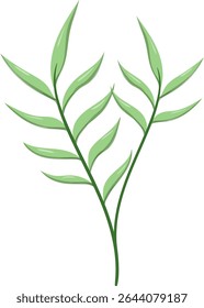 Canas de folhas ovais, bonitas e naturais