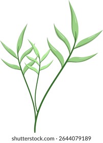Canas de folhas ovais, bonitas e naturais