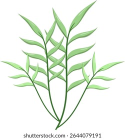 Canas de folhas ovais, bonitas e naturais