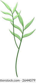 Canas de folhas ovais, bonitas e naturais