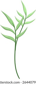 Canas de folhas ovais, bonitas e naturais